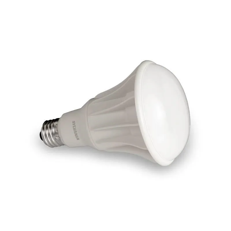 BR30 Dimmable Bulb