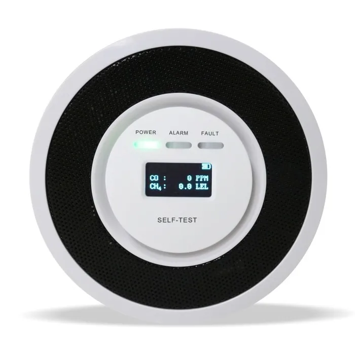 Gas and Carbon Monoxide Alarm Detector