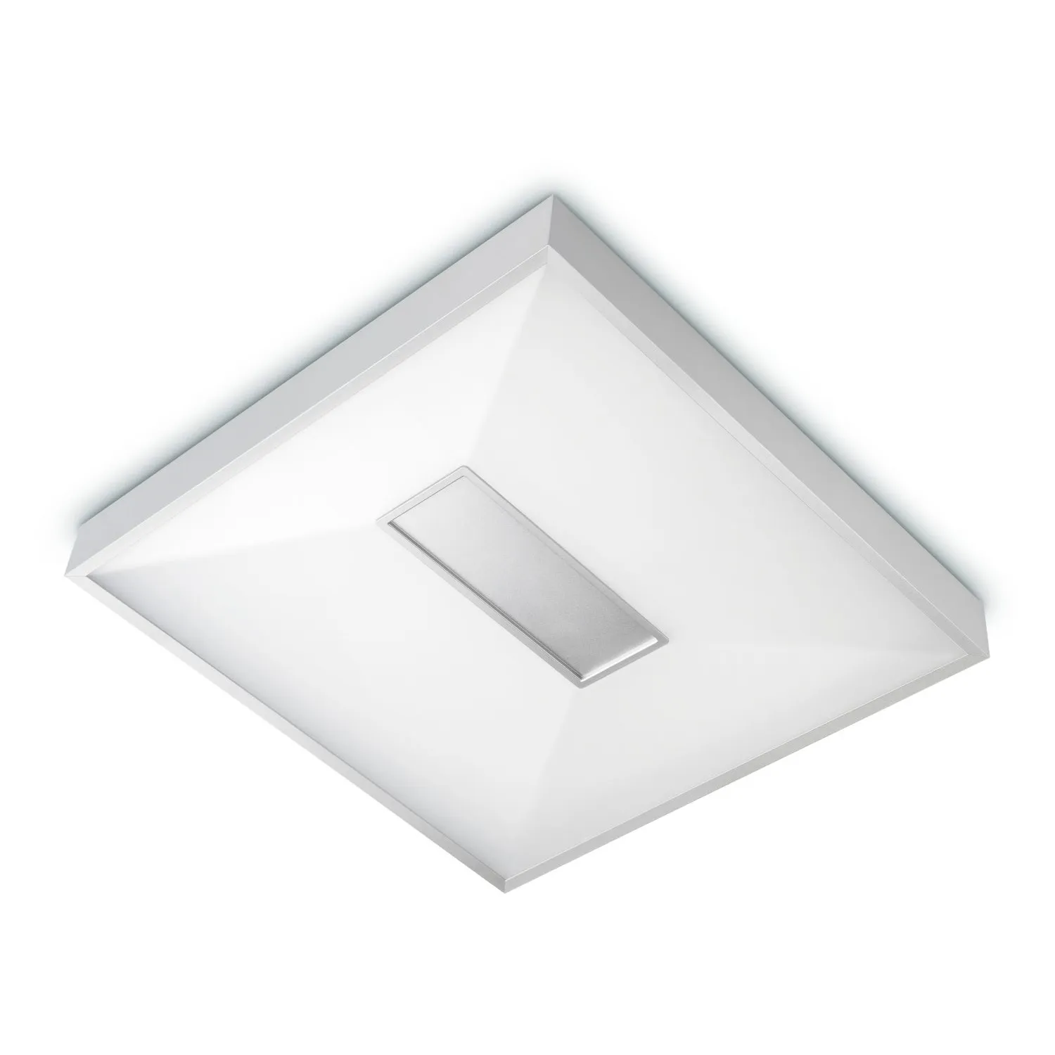Hue Within Ceiling Light