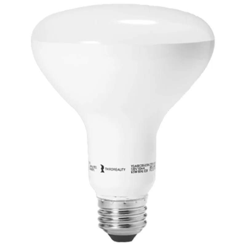 BR30 Smart Light Bulb