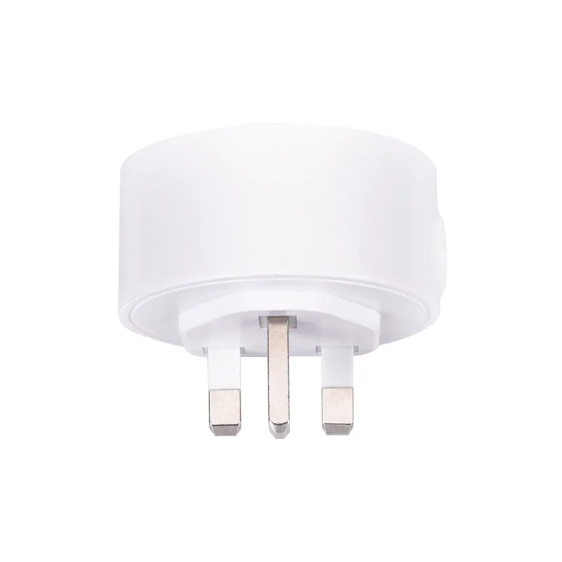 10A/16A Smart Plug